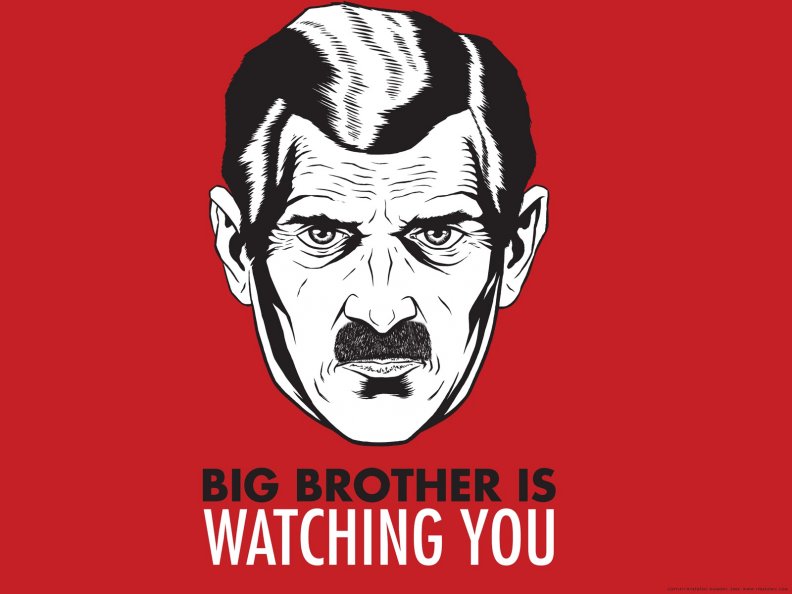 big_brother_is_watching_you.jpg