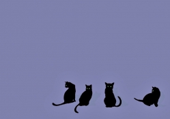 Four black cats