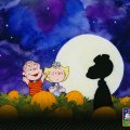Great pumpkin Charlie Brown