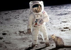 Moon landing was fake