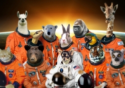 space animals