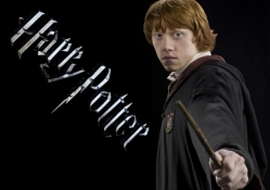 Ron Weasley, Harry Potter