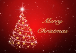 Marry Christmas To You All