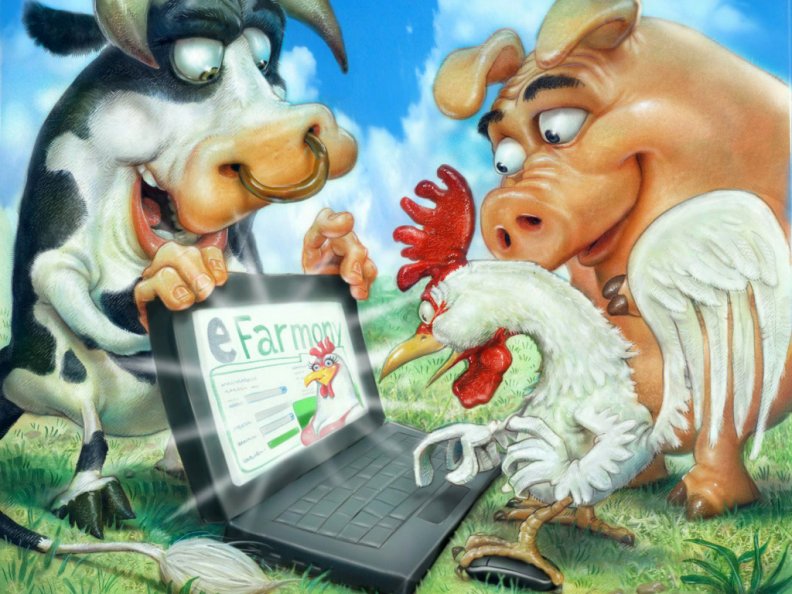 Animals to laptop
