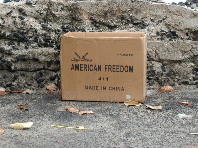 the_american_freedom.jpg