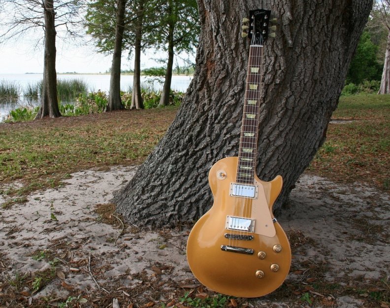 Gibson les paul 1960's gold