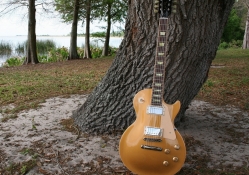 Gibson les paul 1960's gold