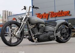 Thunderbike's Nickel Rocker
