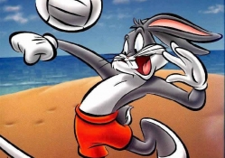 Beach Volley Ball Bugsy