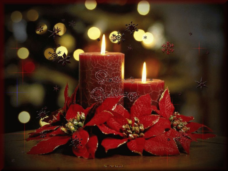 festivity_candles.jpg