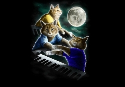 Three Keyboard Cat Moon 