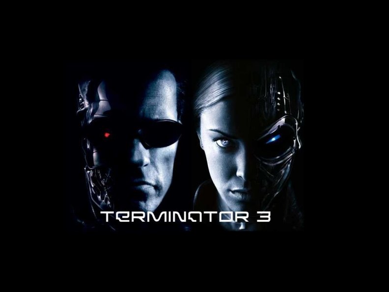 Terminator3