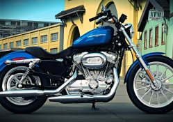 'Blue Harley'