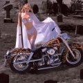 The Ripper of Harley Davidson