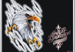 Harley_Davidson aigle argent