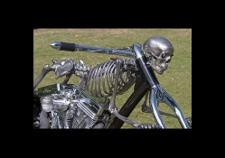 Skull Bike