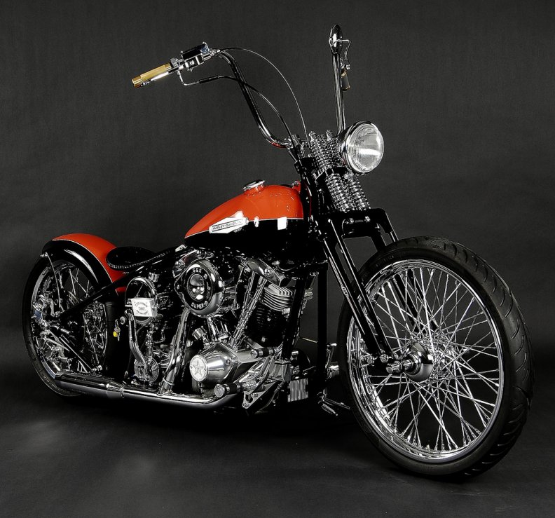 Two Tone Harley Davidson