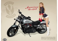 Harley Davidson model and