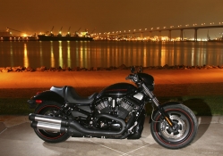 Harley Davidson In The City