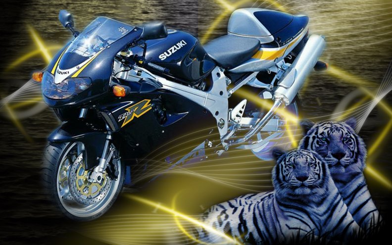 SuzukiTL1000_R Tigers