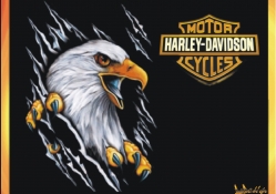 Harley_Davidson logo orange aigle