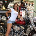 Harley Shop, Test Driver