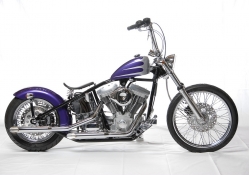 Purple and silver harley with a solo seat